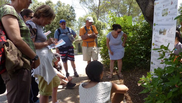Les-pieds-dans-la-biodiversité-3 Les-pieds-dans-la-biodiversité-3