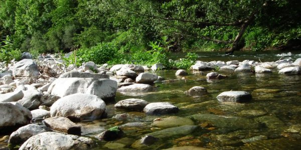 Milieu Zone humide - rivière (2)