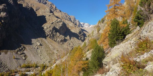 Option milieu montagne - mercantour (3)